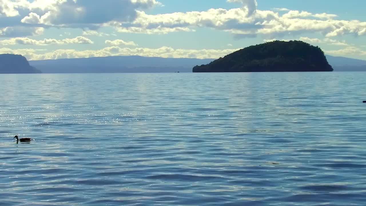 陶波湖海滨视频素材