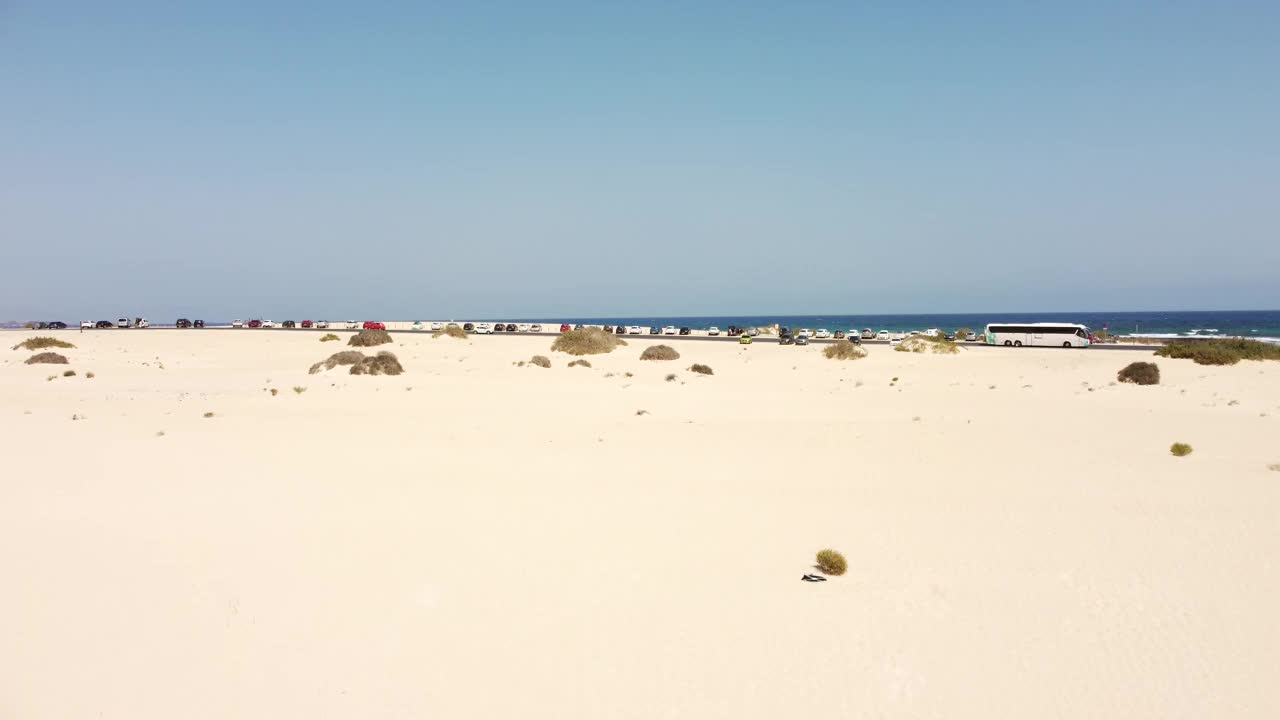 加那利群岛富埃特文图拉科拉莱霍自然公园沙丘海滩。西班牙视频素材