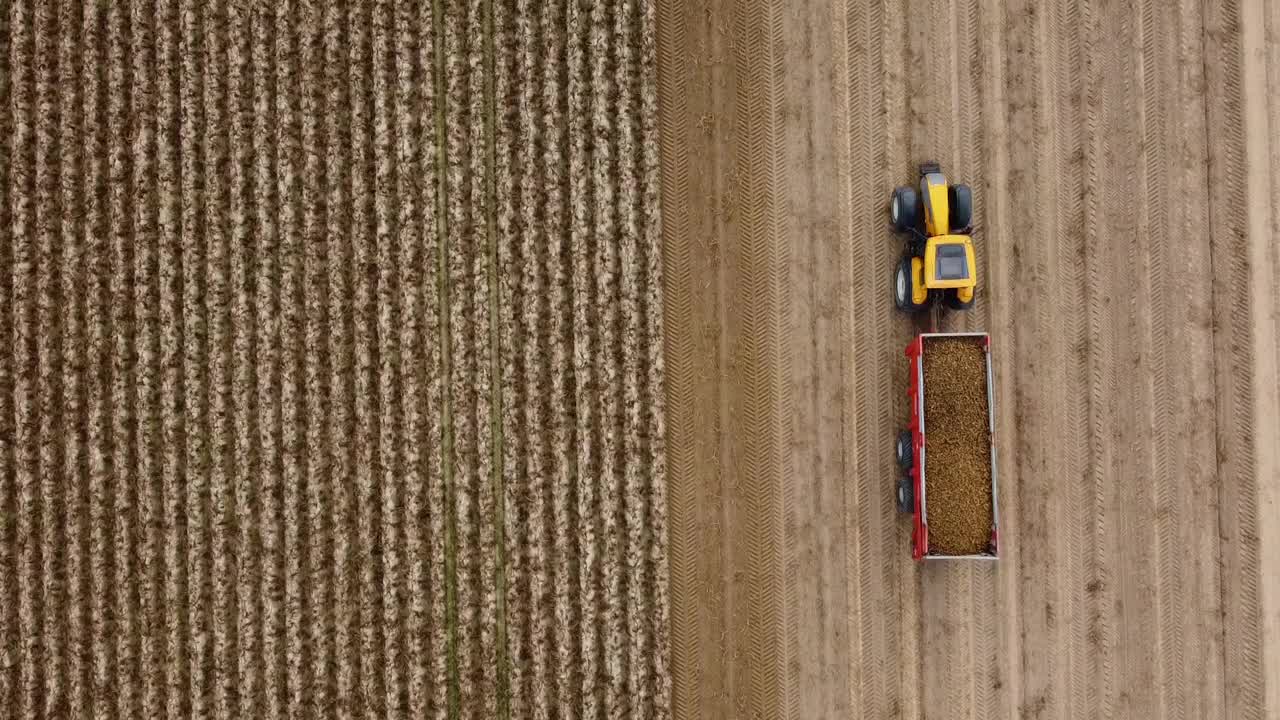 在波兰用拖拉机拖着农田。无人驾驶飞机。鸟瞰，俯视。电影。土豆。视频下载