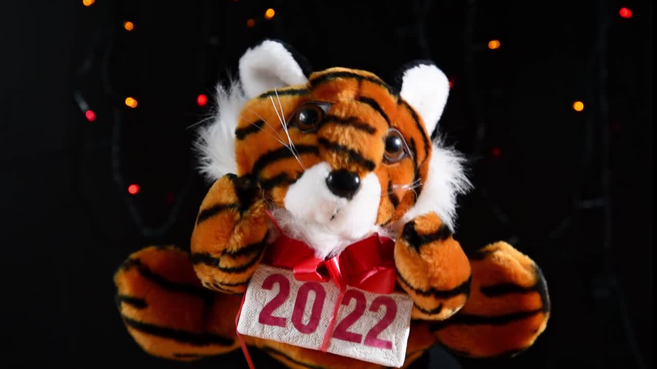 老虎与礼盒，新年2022象征附近的圣诞树视频下载