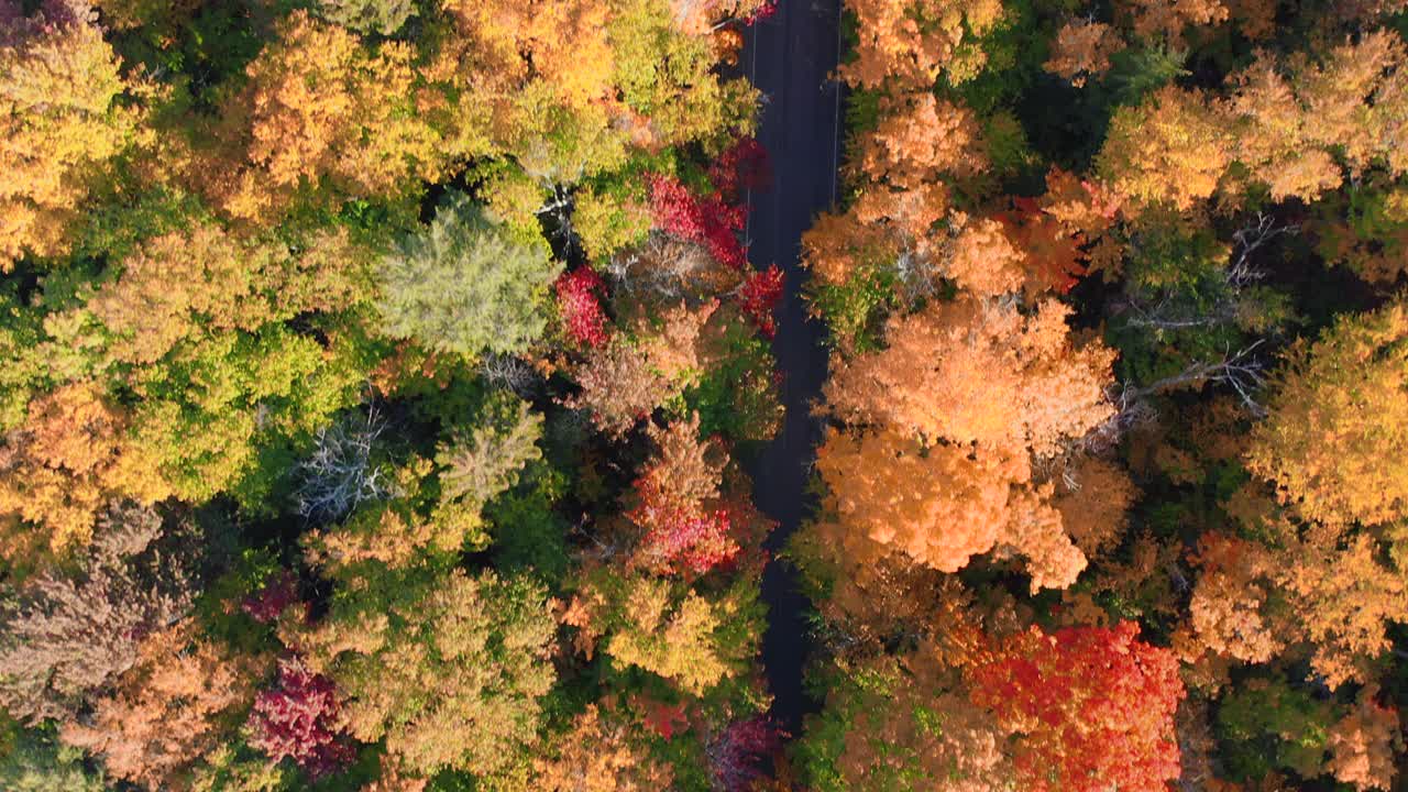 加拿大魁北克省秋天多色北方森林和劳伦山景观的鸟瞰图视频下载