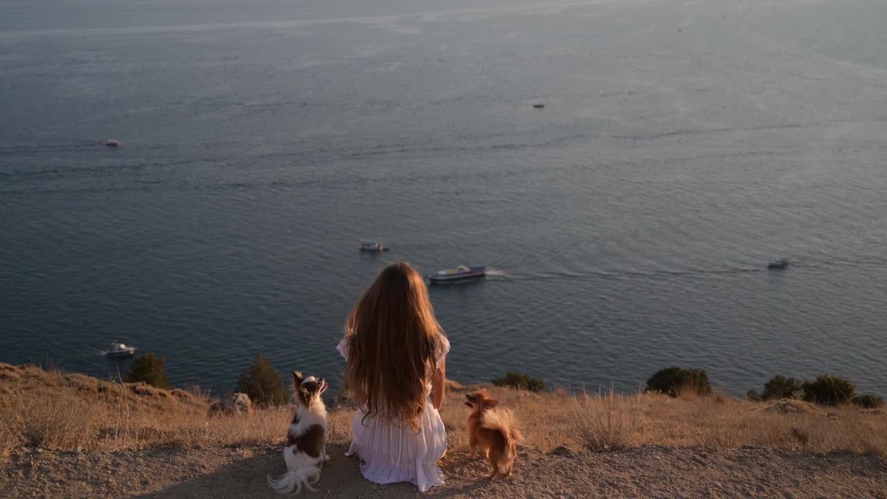 田园风光的美丽年轻女子坐在海边，与两只小吉娃娃狗与帆船在水在夏天日落放松冥想视频下载