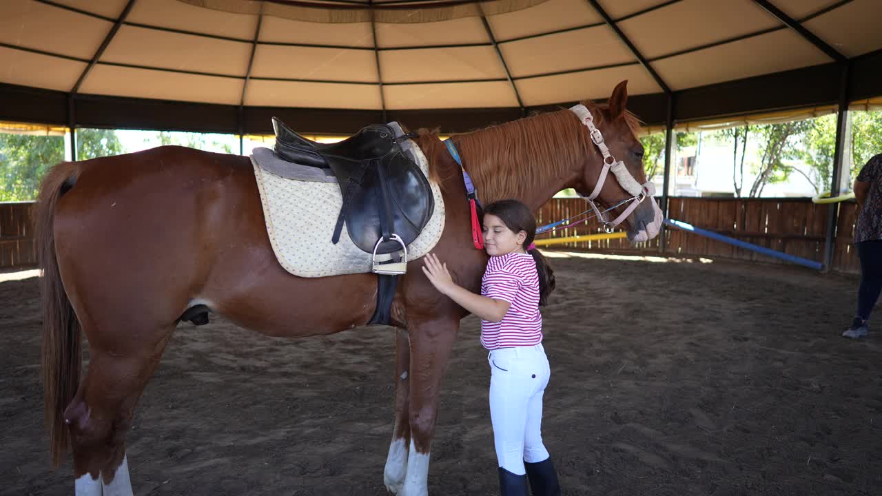 小女孩友好地拥抱她的马。视频下载