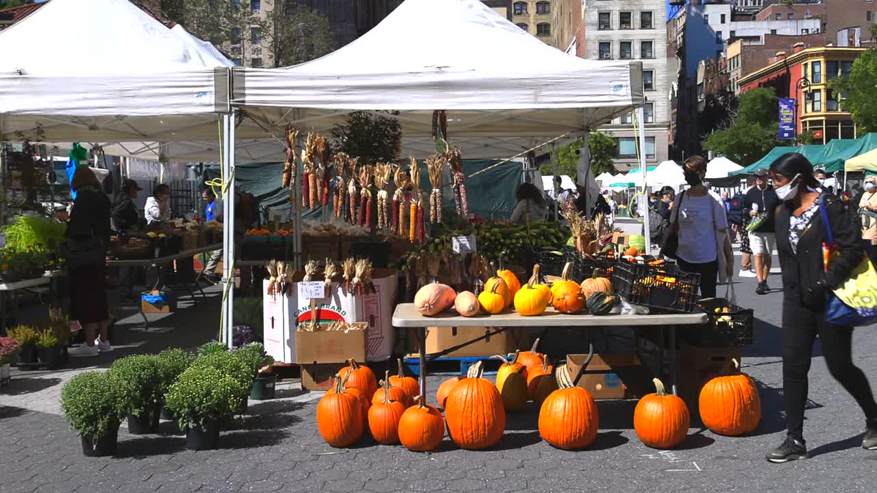 万圣节南瓜在纽约联合广场绿色市场出售。视频下载
