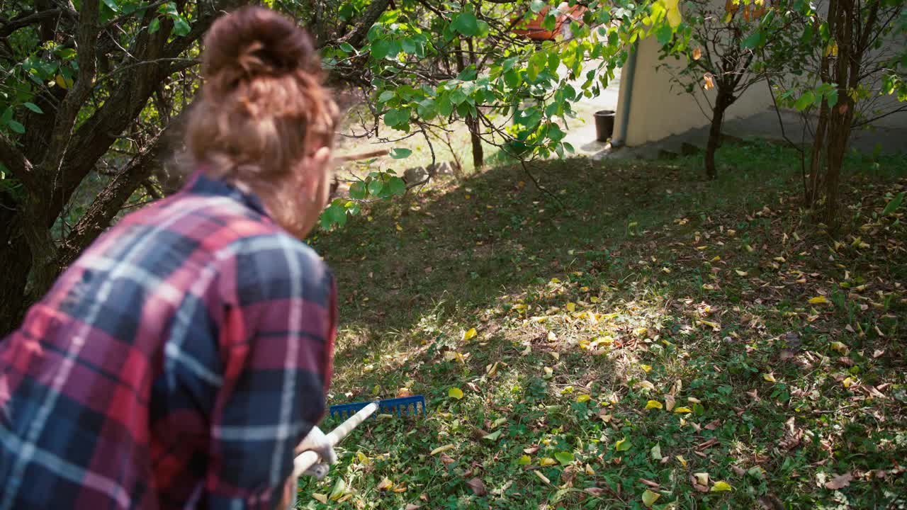 一个成熟的成年妇女正在用耙子耙草坪上的枯叶视频素材