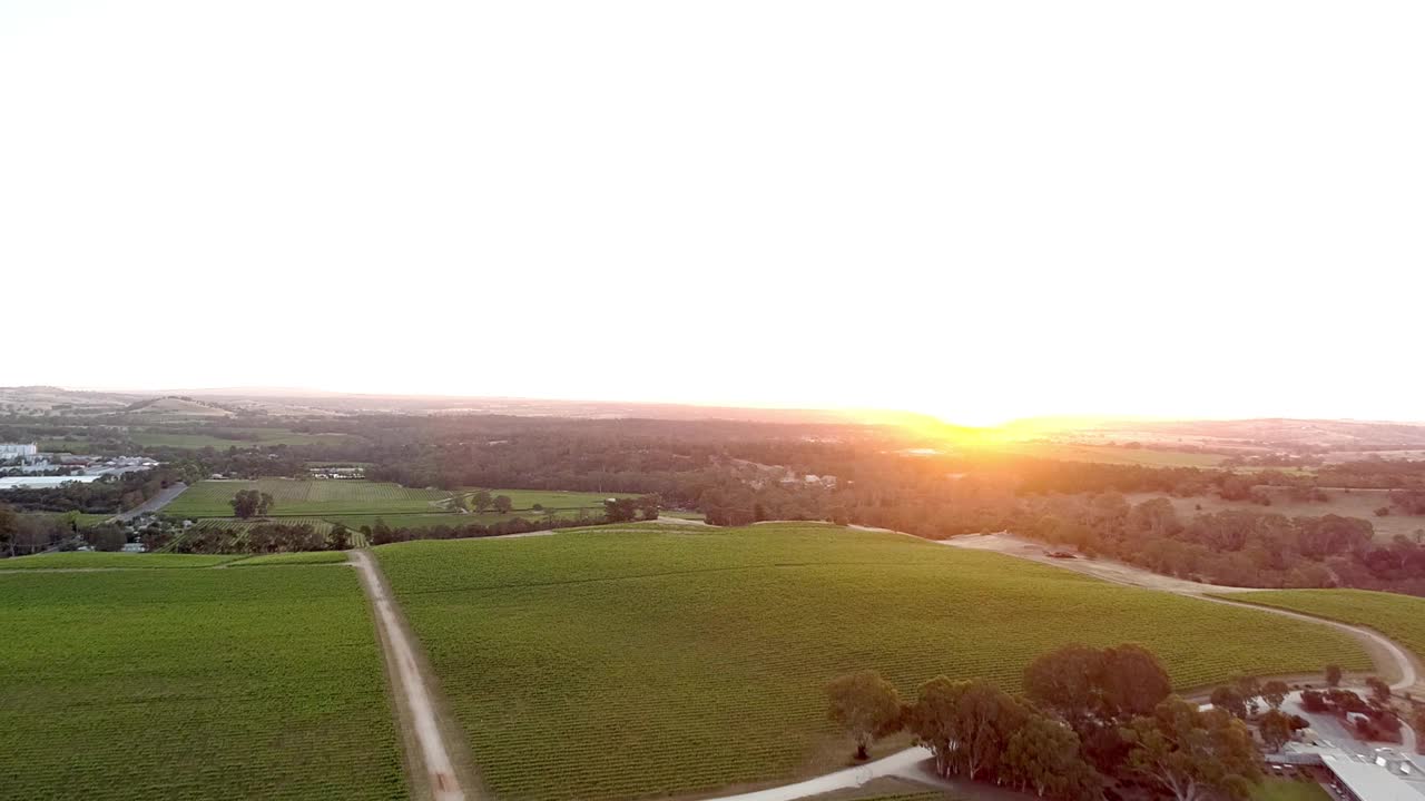 俯瞰葡萄园，巴罗萨山谷-南澳大利亚- 4K-库存视频视频下载