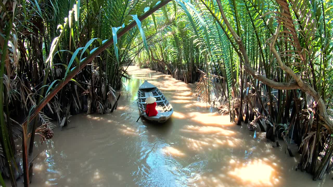 女性使用传统的运河运输通过越南雨林视频素材