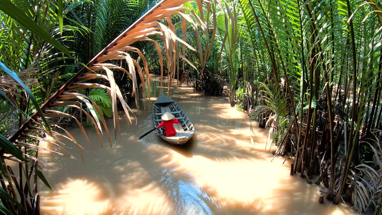 阳光下的雨林与女子划桨舢板越南视频素材