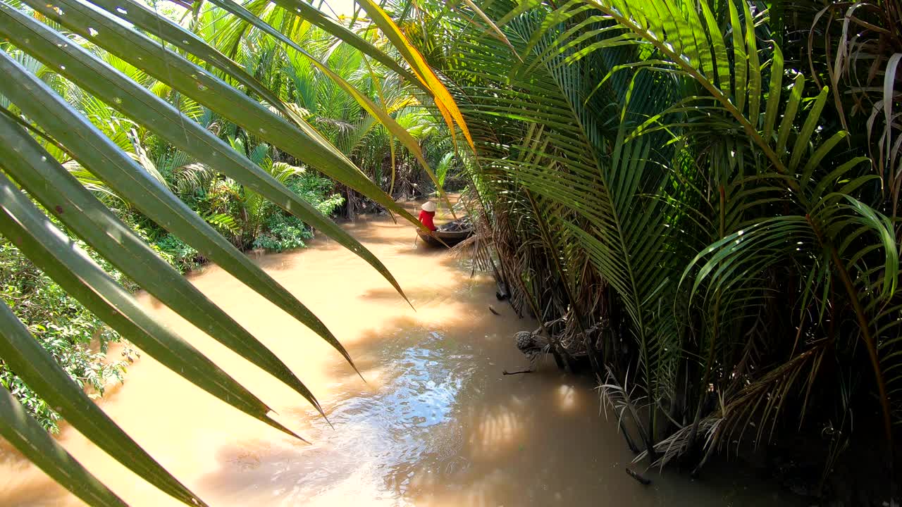 阳光下的热带棕榈树，越南湄公河三角洲运河视频素材