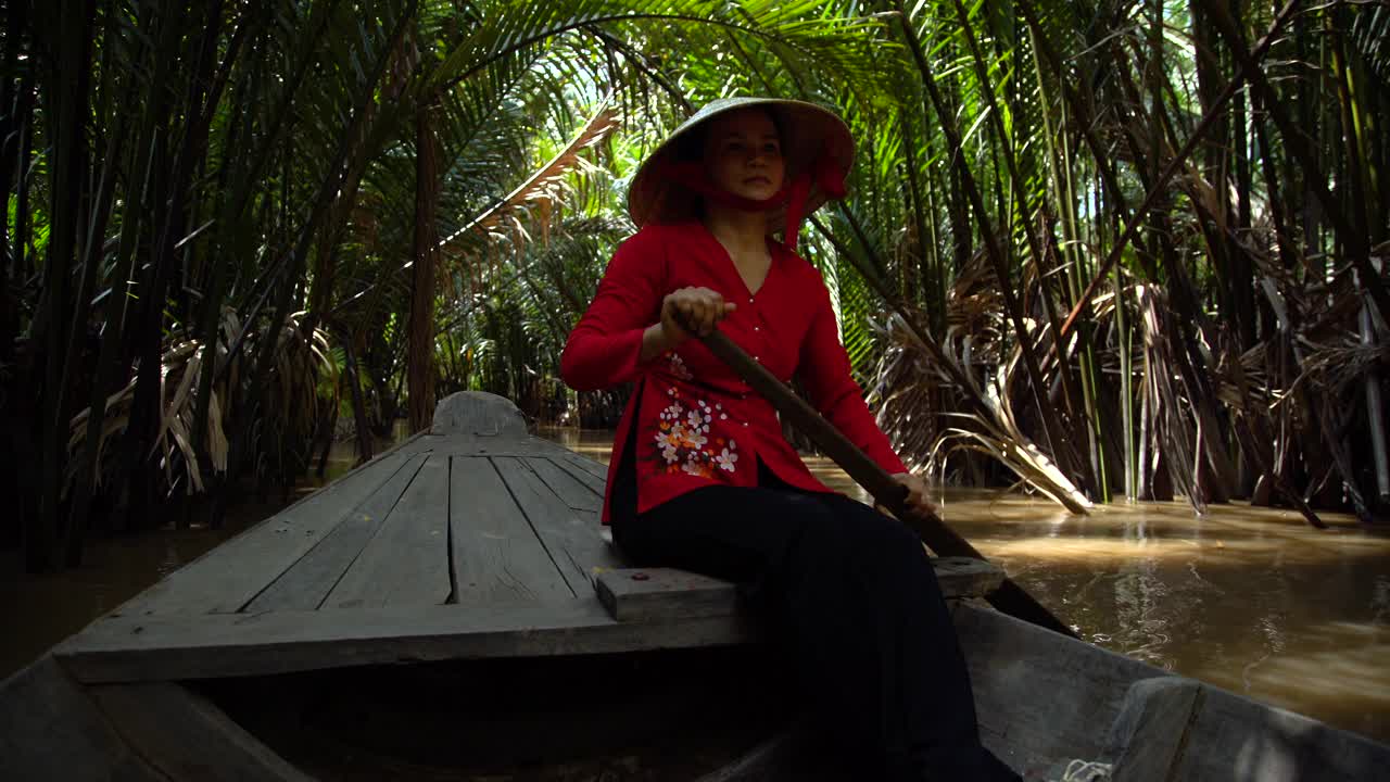 热带棕榈树排列在湄公河与舢板越南视频素材