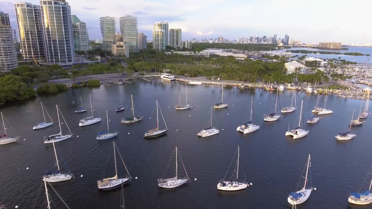 美国佛罗里达州迈阿密，椰林码头和市中心建筑上的帆船视频下载