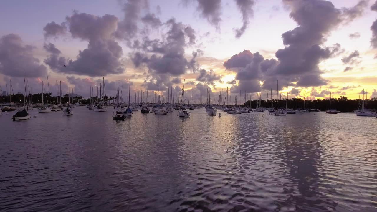 日出时分，美国佛罗里达州迈阿密椰林码头的帆船视频下载