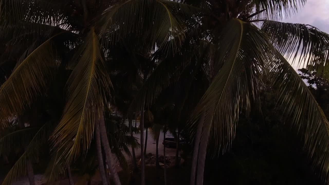 美国佛罗里达州迈阿密，日出时分，椰林码头的帆船和市中心的建筑视频下载