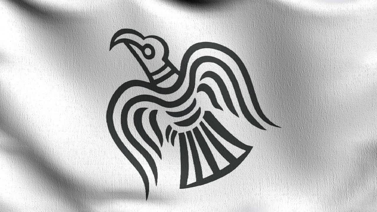北欧海盗乌鸦旗在风中飘扬。波形标志的三维渲染图视频下载