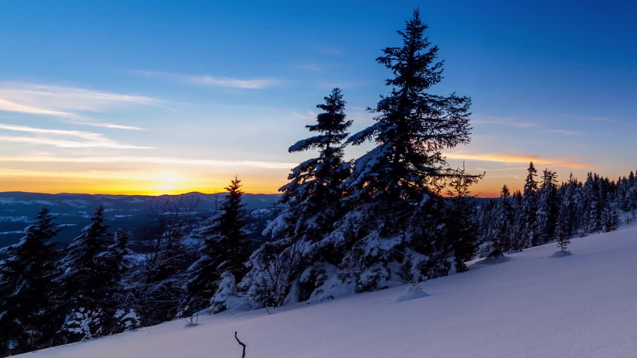山上美丽的冬季风景。初升的太阳从杉树的积雪中探出头来。地面和树木上覆盖着一层厚厚的刚下过的松软的雪视频素材