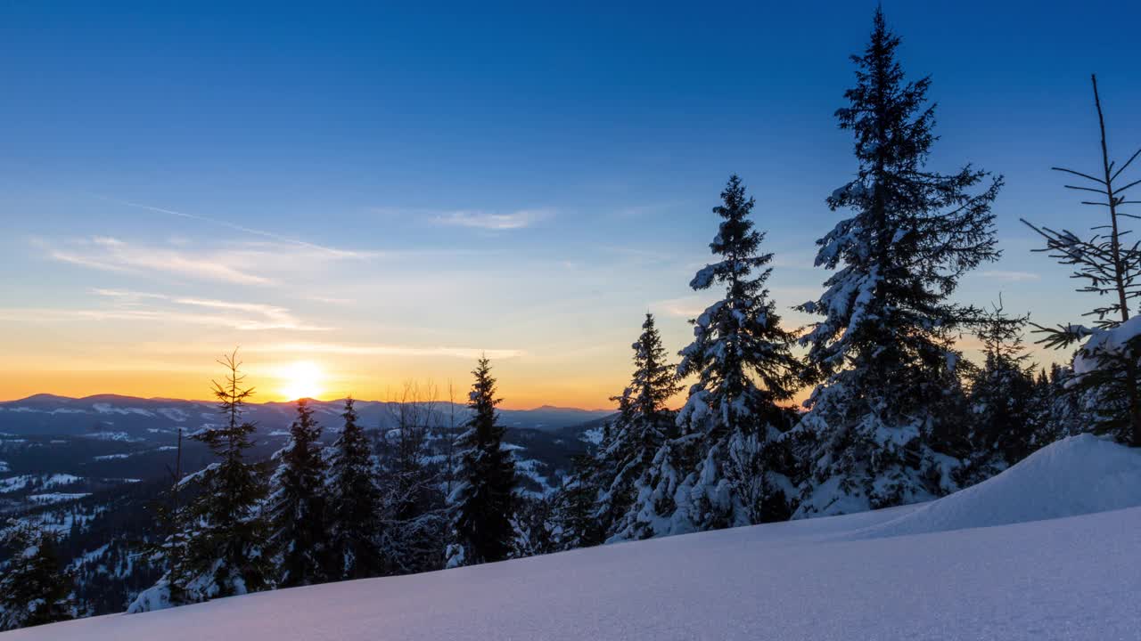 山上美丽的冬季风景。初升的太阳从杉树的积雪中探出头来。地面和树木上覆盖着一层厚厚的刚下过的松软的雪视频素材