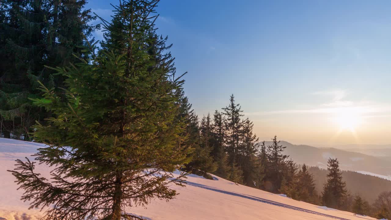 山上美丽的冬季风景。太阳从冰雪覆盖的冷杉树枝上钻了出来。地面和树木上覆盖着一层厚厚的刚下过的松软的雪视频素材