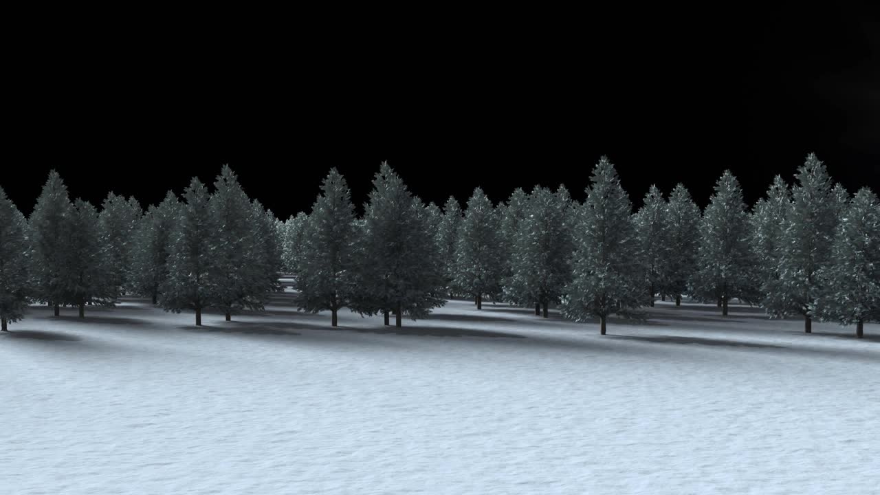在冬季景观上的多棵树在黑色背景上对抗流星视频素材