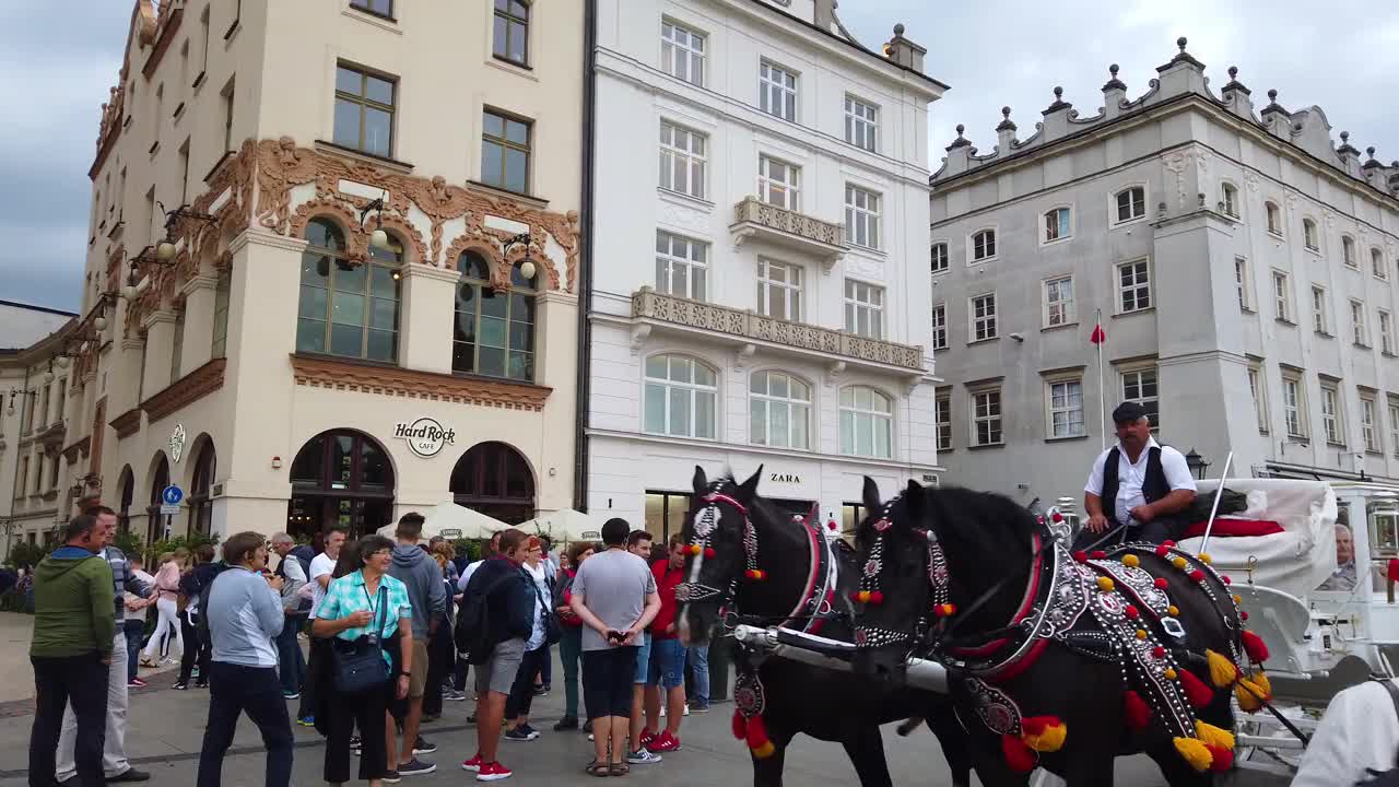 游客在波兰的克拉科夫骑着马车视频素材