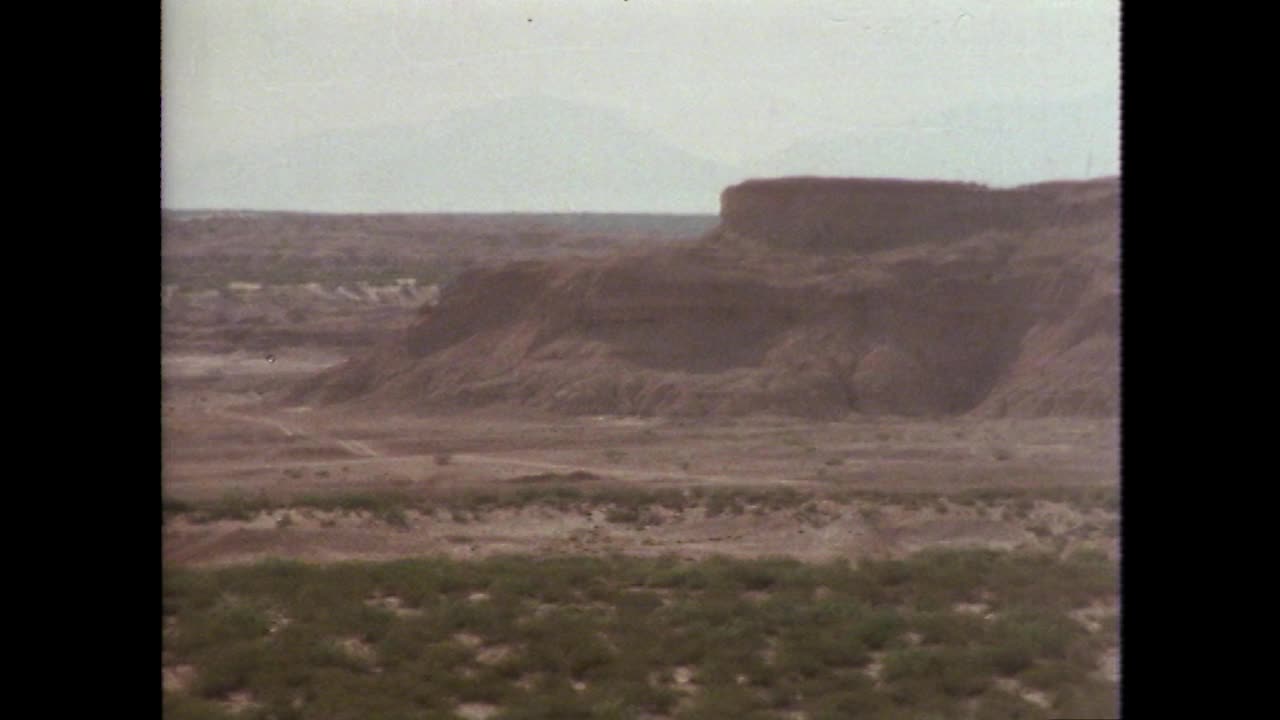 在德克萨斯州干旱的沙漠地带拥有休闲牧场;1979视频素材