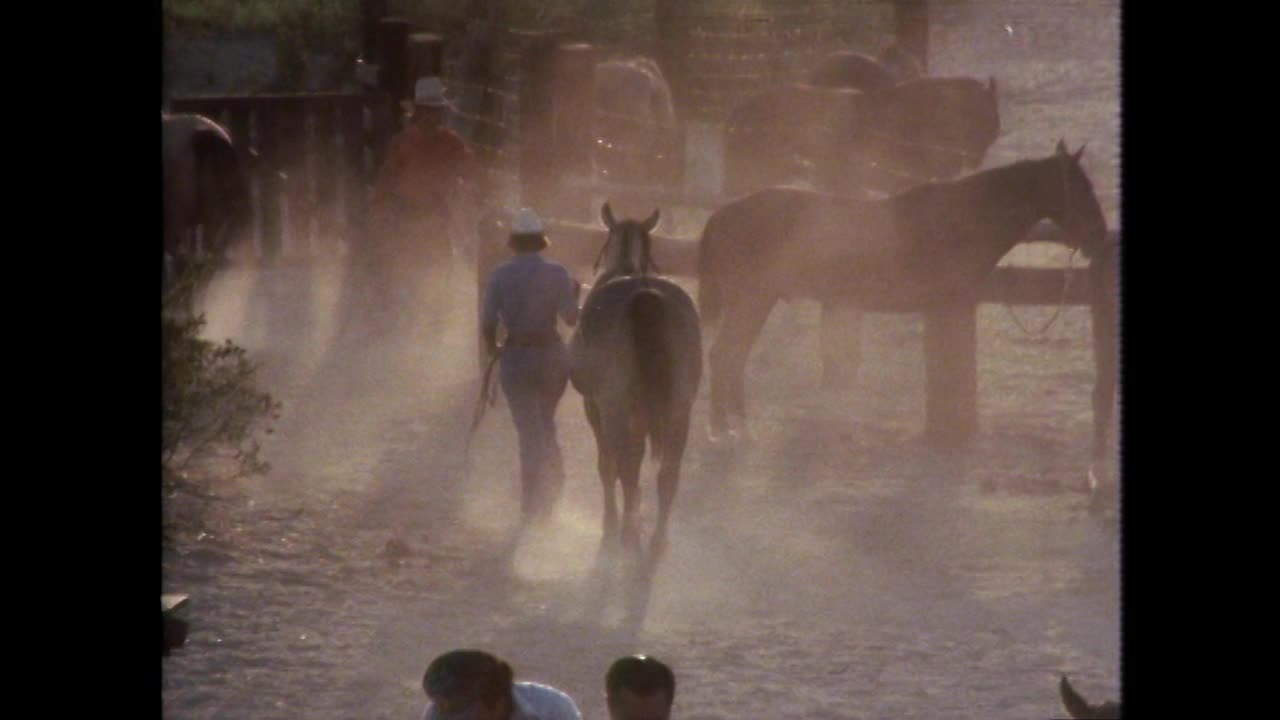 GVs结束了一天的德克萨斯小道骑行;1979视频素材