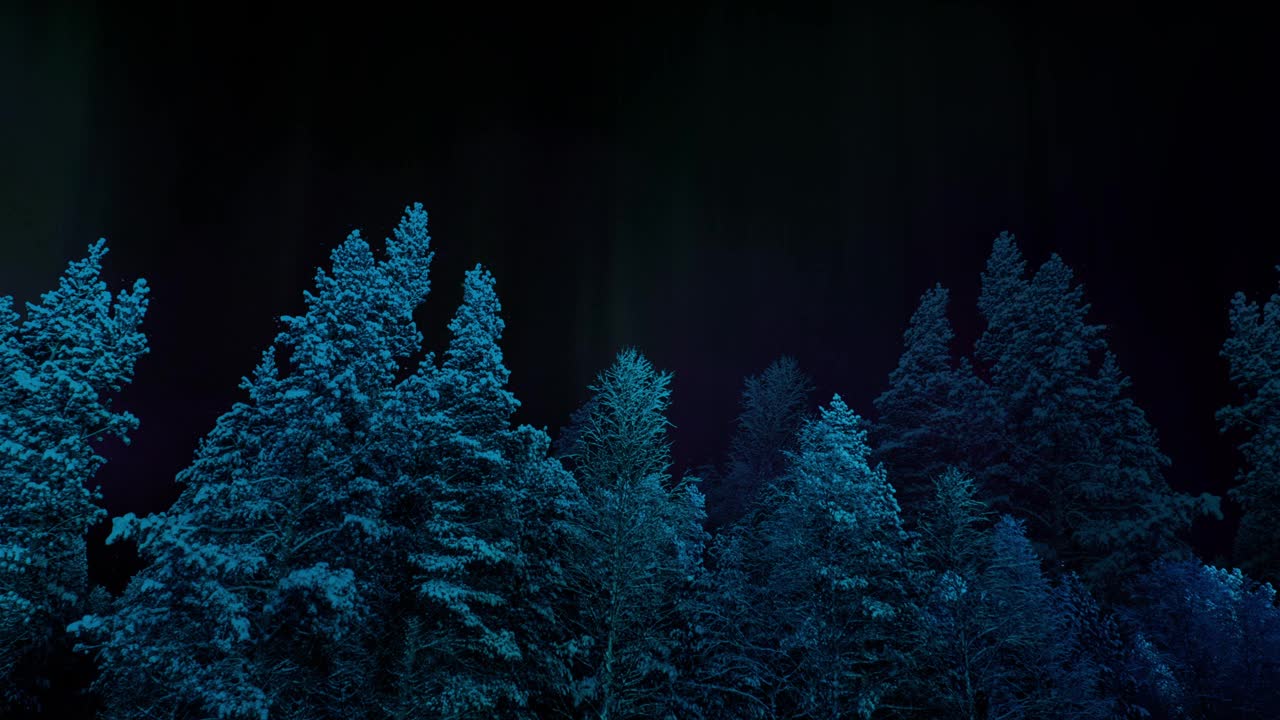 北极光的超现实夜间森林视频素材
