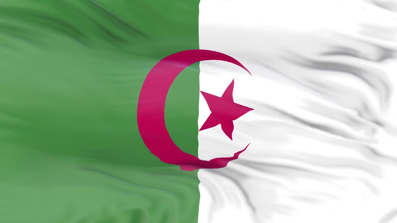 阿尔及利亚国旗正在挥舞3D动画。阿尔及利亚国旗在风中飘扬。阿尔及利亚国旗。标志无缝循环动画。高质量4K分辨率视频下载