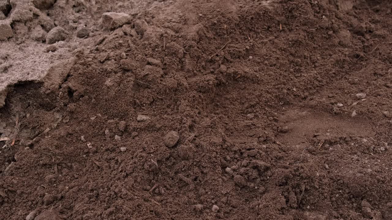 白种男性农民徒手检查棕色肥沃土壤的质量视频下载