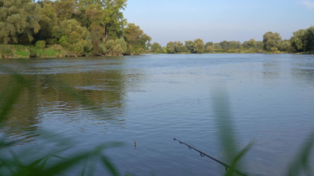 杂草丛生的湖的美妙景色和带浮子的鱼竿。男性爱好，钓鱼观念视频素材