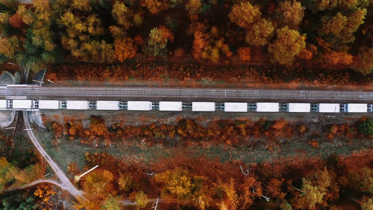 货运火车从空中俯瞰秋天的森林。视频下载