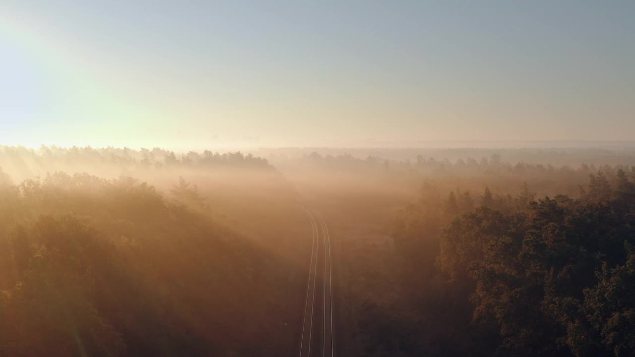 鸟瞰图的电动客运列车通过秋天雾蒙蒙的森林。视频下载