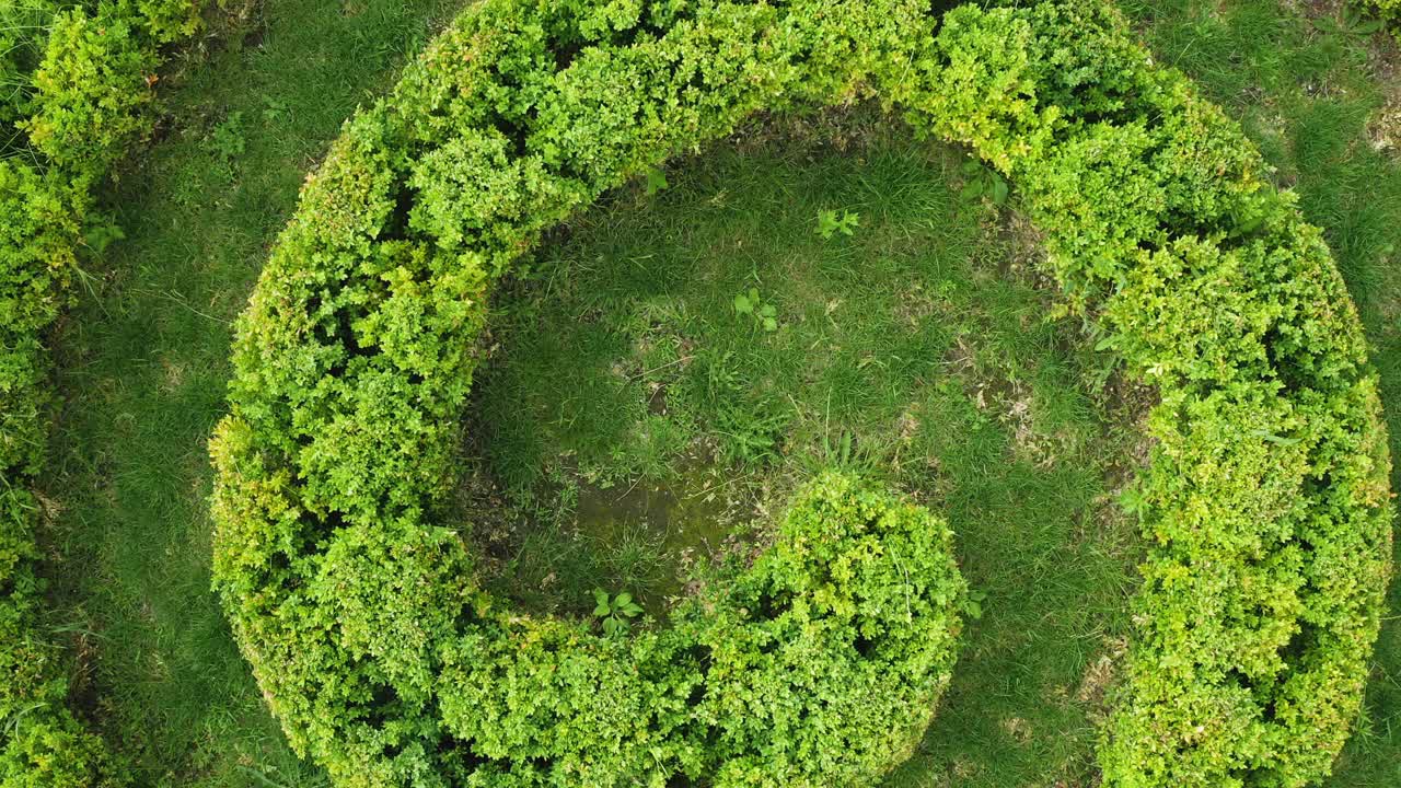 鸟瞰图的绿色topiari灌木在一个螺旋形公园。视频下载