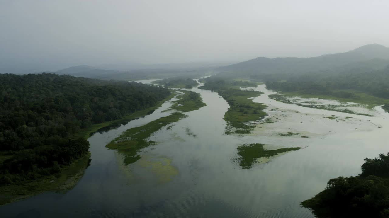 巴拿马，空中查格雷斯河和查格雷斯森林视频素材