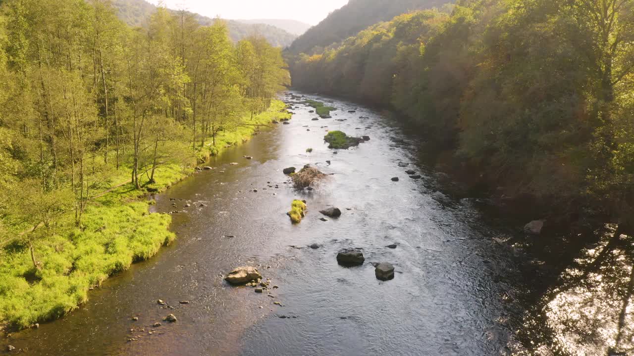 航拍到的河流穿过森林的画面视频下载