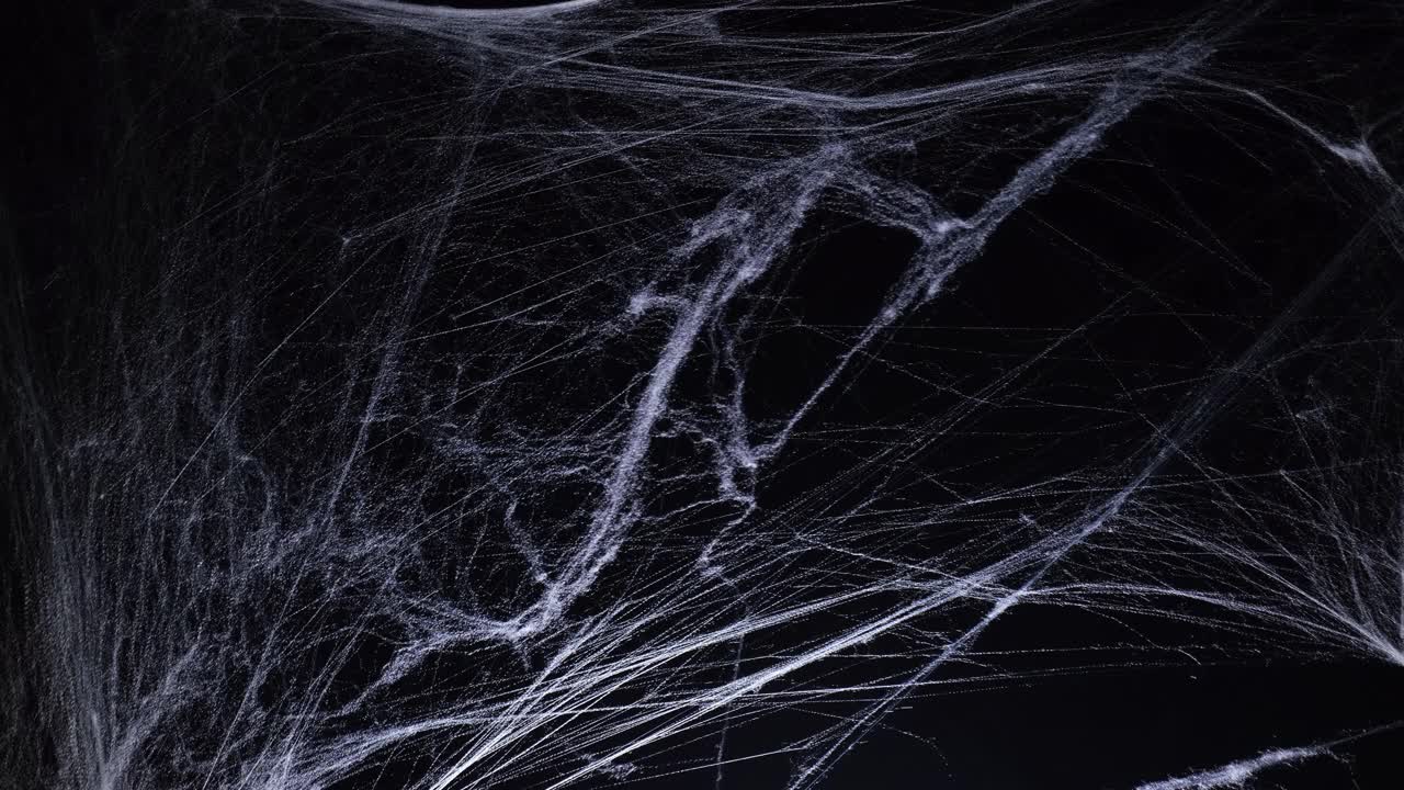 万圣节黑暗中诡异的蜘蛛网视频素材