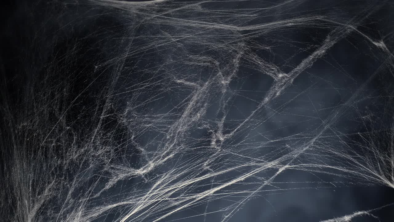 万圣节阴森森的蜘蛛网和雾雾烟雾在黑暗中视频素材