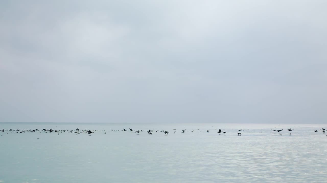 一群野鸭从大海飞向天空。地平线。缓慢的运动。多云的天气视频素材