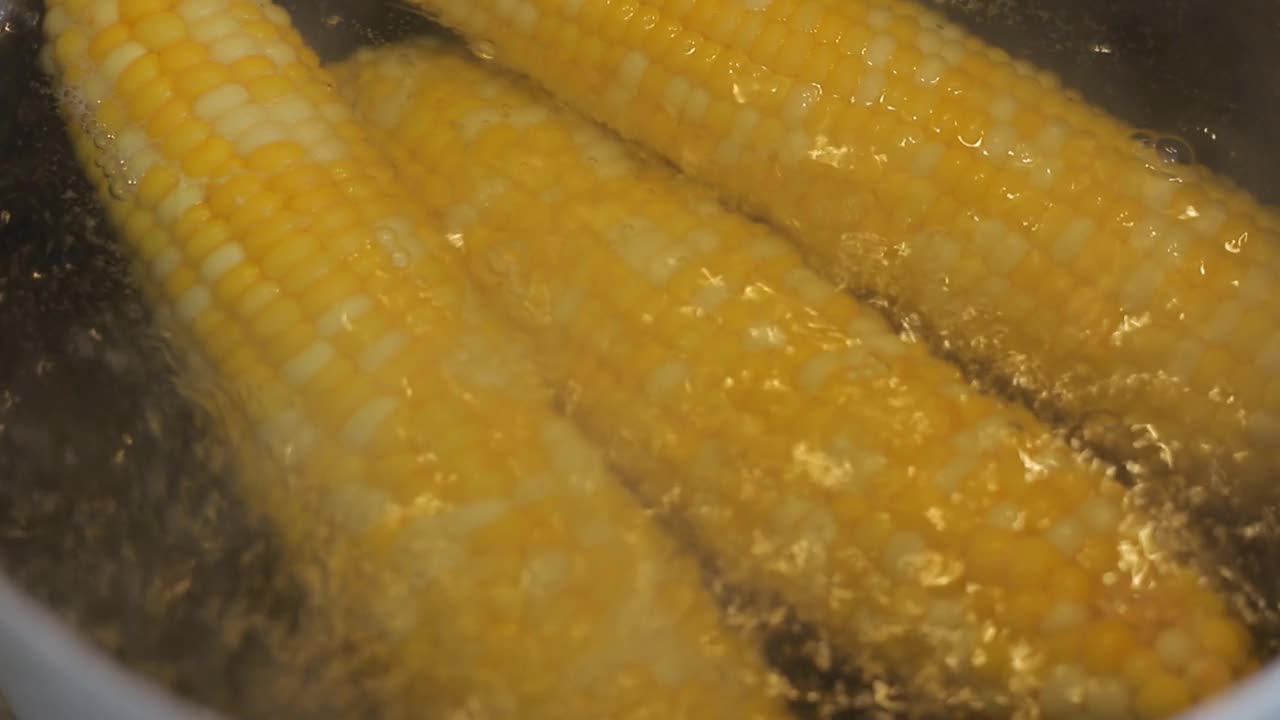 成熟的玉米棒在平底锅的沸水中煮。视频素材