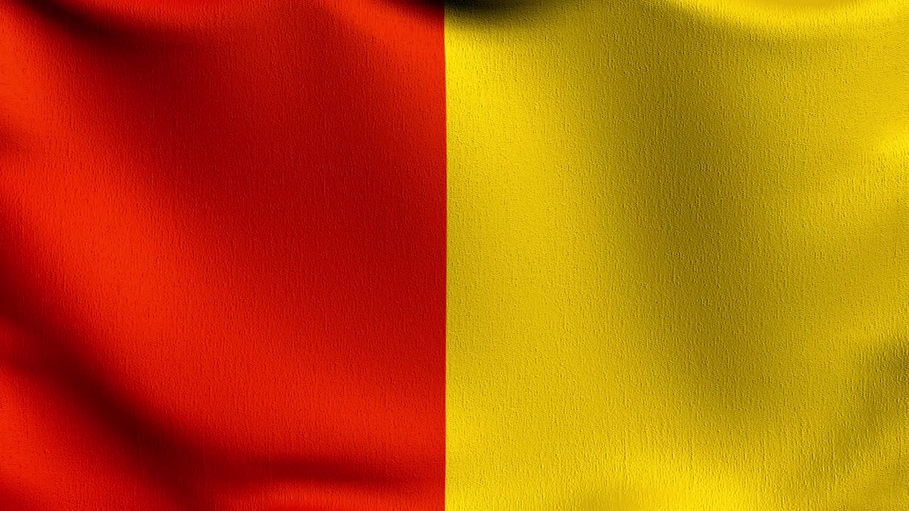 巴登大公国的旗帜在风中飘扬。波形标志的三维渲染图视频素材