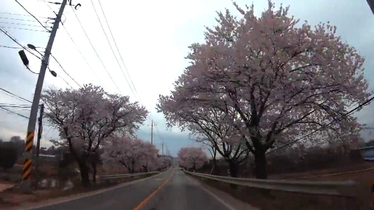 春天驾车的景色/韩国忠清北道忠州市视频下载