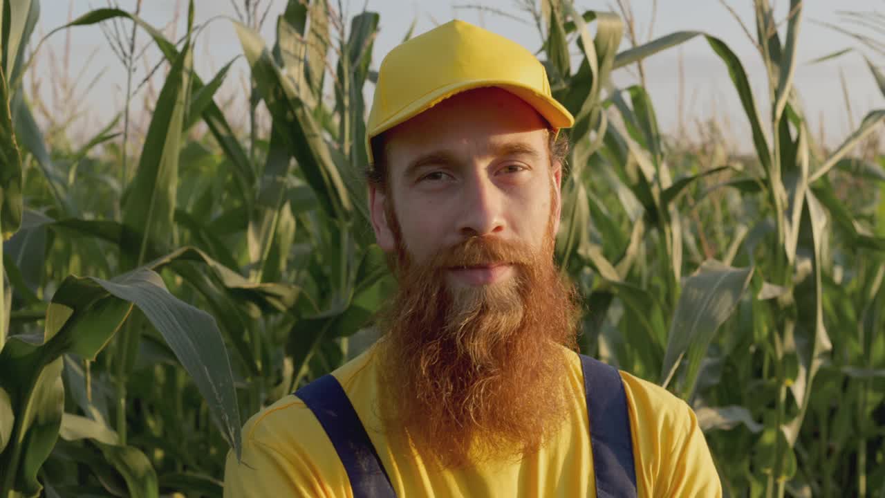 玉米地里的农夫视频下载