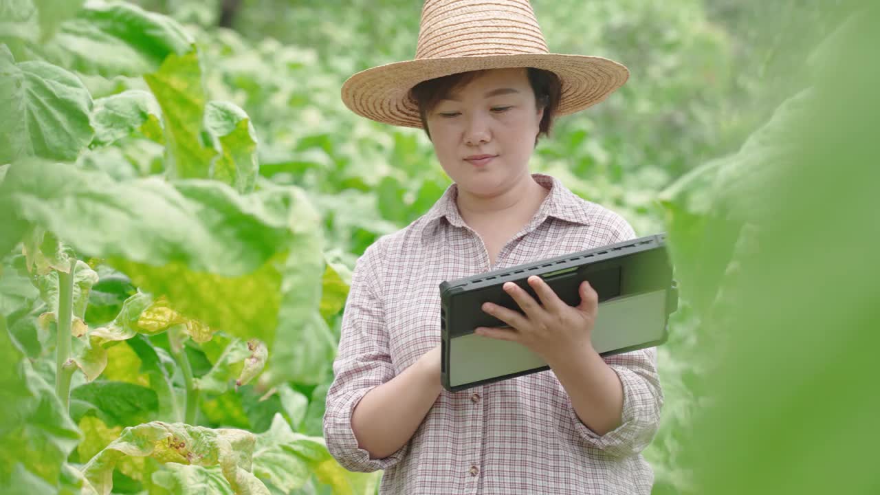 一名妇女在农场使用电子平板电脑视频素材