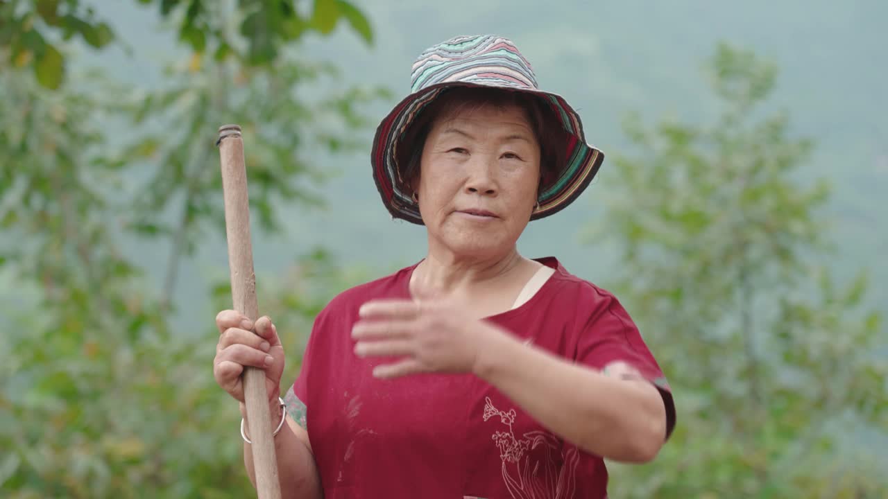 田里的女农民画像视频素材