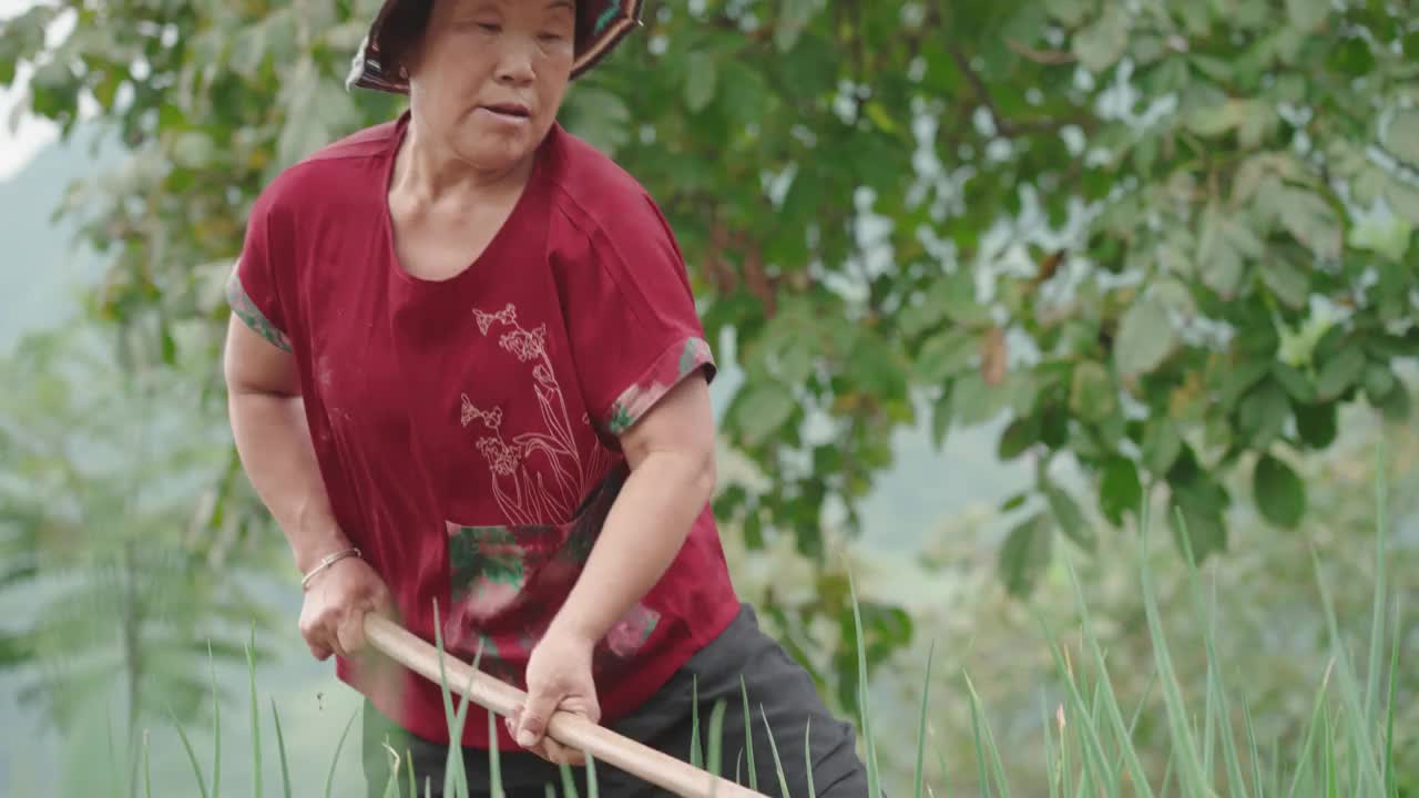 在农场工作的女性农民视频下载