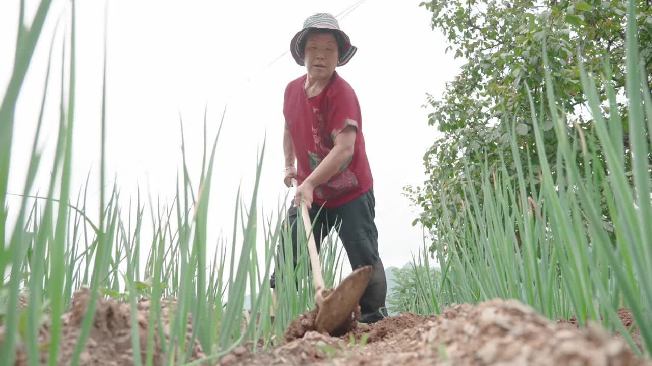在农场工作的女性农民视频下载