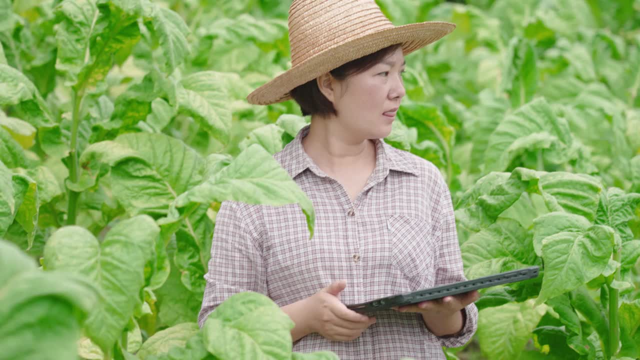 一名妇女在农场使用电子平板电脑视频素材