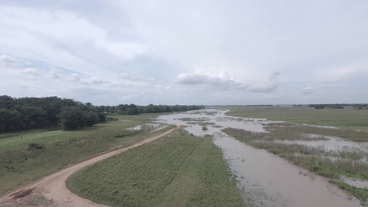在季风期间，无人机在洪水泛滥的田野上拍摄了一座小竹桥视频素材