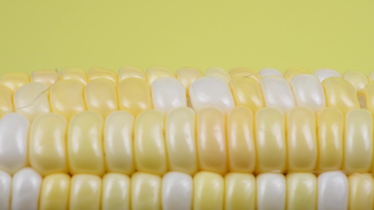 玉米穗的黄色背景，极端的微距拍摄。荣誉谷物还未成熟。从左向右移动。视频下载
