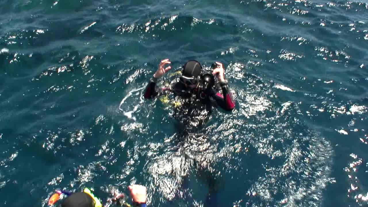 戴水肺的潜水员潜入水中。视频素材