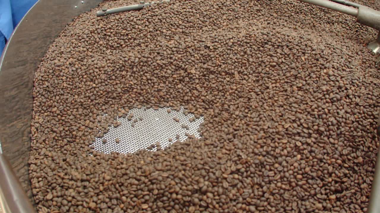 工人们在工厂里检查咖啡豆的温度视频下载